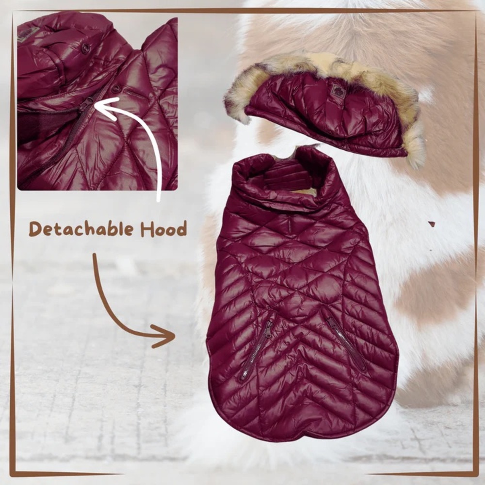 Pajar Dog Jacket